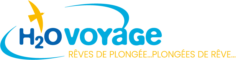 H2O Voyages rêves de plongée, plongée de rêve H2O Voyages rêves de plongée, plongée de rêve
