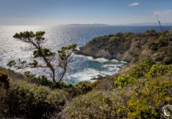 Au départ de Bormes-les-Mimosas, embarquez pour une journée de navigation jusqu’au Parc National de Port-Cros