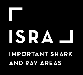 L’ISRA, un nouveau cadre pour protéger requins, raies et chimères