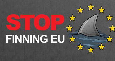 « Stop finning EU » : l’Initiative Citoyenne qui redonne espoir