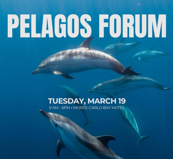 Forum Pelagos, pour une protection efficace des cétacés