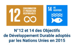 N°12 et 14 des Objectifs de Développement Durable adoptés par les Nations Unies en 2015
