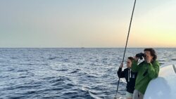 Expéditions Voil'Océan Sciences participatives en Méditerranée, missions réussies