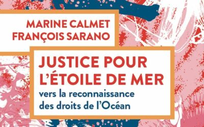 Nouveau : Justice pour l’étoile de mer, le livre-plaidoyer pour les droits de l’océan
