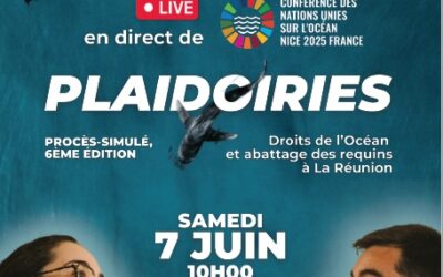 Procès-simulé   : Défendre l’Océan par la voix du droit !