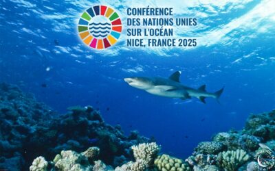 Rétrospective Longitude 181 à l’UNOC