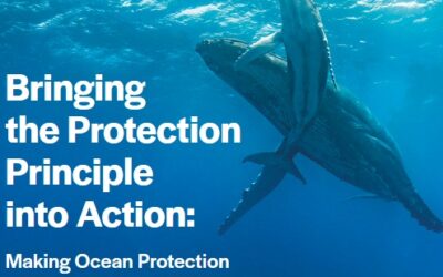 Et si la protection de l’océan devenait la règle, et non  l’exception ?