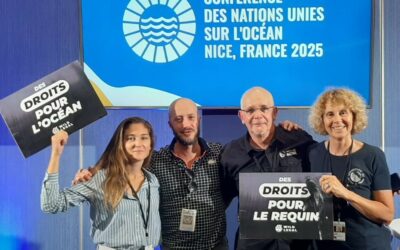 Fin de clap pour l’UNOC : quid des droits de l’océan ?