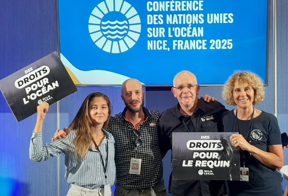 Clap de fin pour l’UNOC : quid des droits de l’océan ?