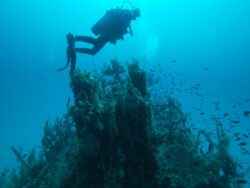 Arnaud en plongée, engagé pour l'océan avec Longitude 181