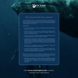 Ocean rights charte
