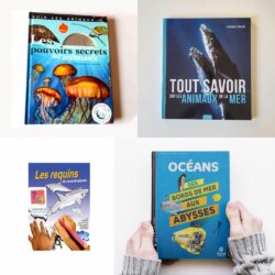 Lot 4 livres mer & animaux marins - Offre spéciale Longitude 181