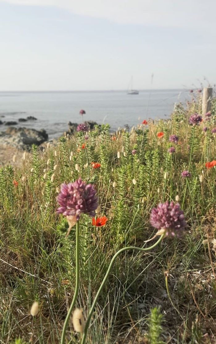 Soutenir Longitude 181 et La Voix de l’Océan Soutenir Longitude 181 et La Voix de l’Océan