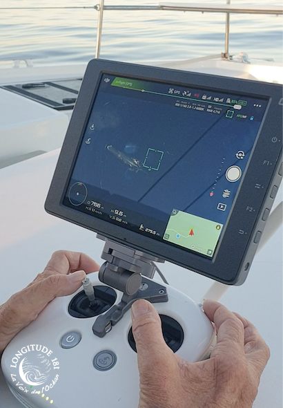 mesure cachalots par drone Équipe Mission Whaleway 6 Longitude181 CIAN