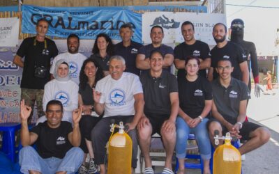 10 ans de coopération entre Longitude 181 et Probiom.