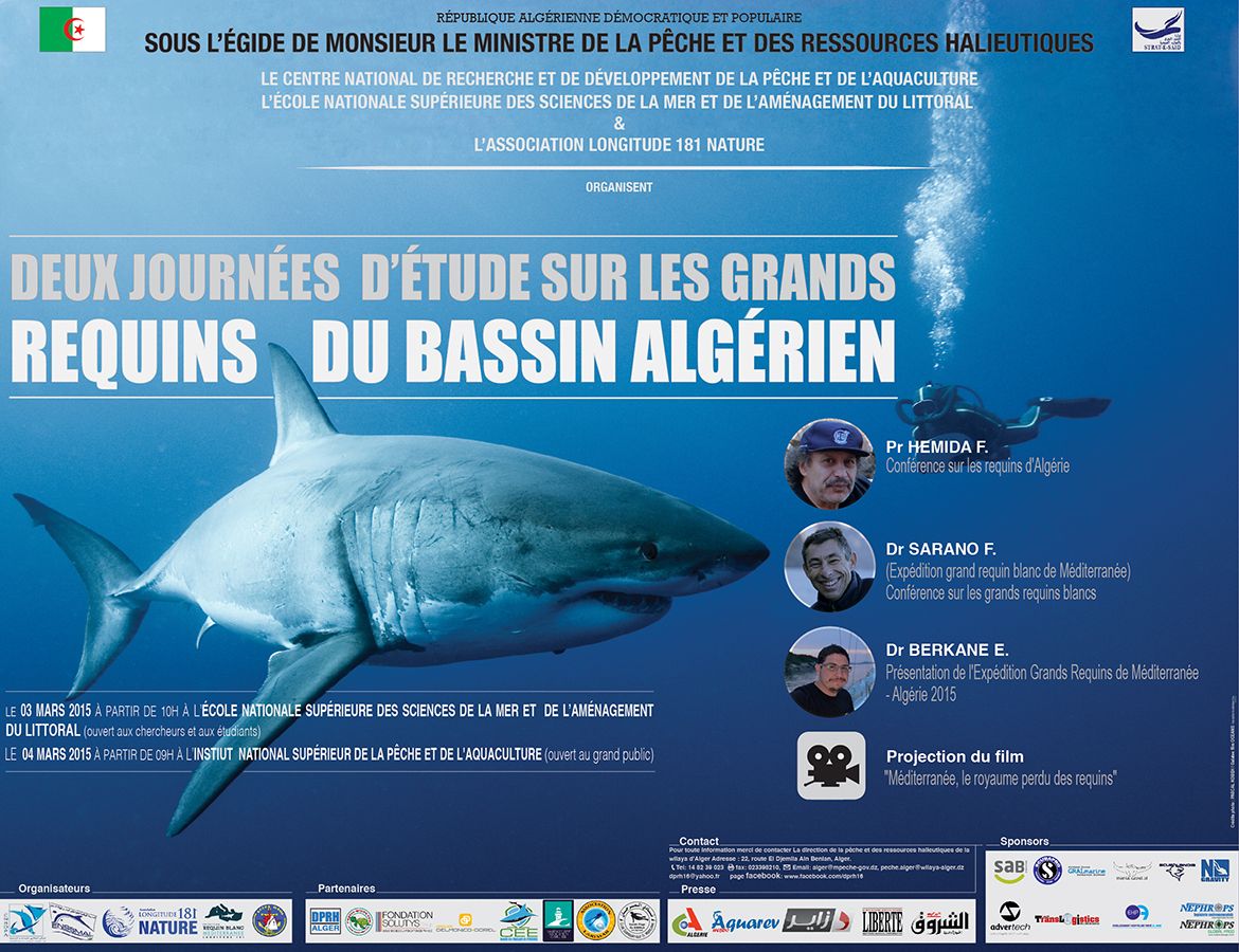 Affiche journées d'étude des requins Alger mars 2015 Affiche journées d'étude des requins Alger mars 2015
