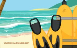 Le 27e Salon de la Plongée avec Longitude 181, Stand H06-I05, du 8 au 11 janvier 2026