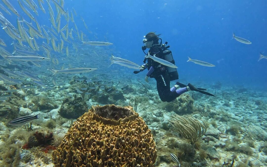 Mathilde Piraube, chargée du pôle audiovisuel, engagée pour l’océan