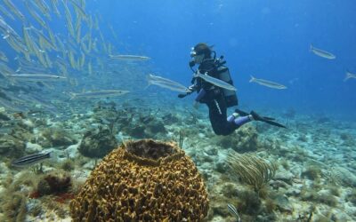 Mathilde Piraube, chargée du pôle audiovisuel, engagée pour l’océan