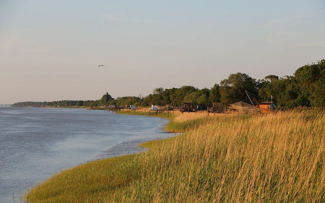 Usines terrestres de saumons : c’est NON !