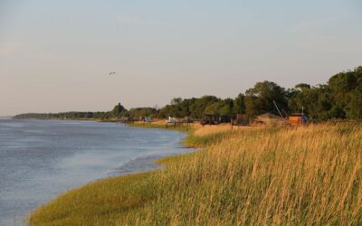 Usines terrestres de saumons : c’est NON !