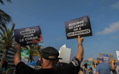 Les Carnets des droits de l’Océan #3 : 5 thématiques à surveiller en 2026