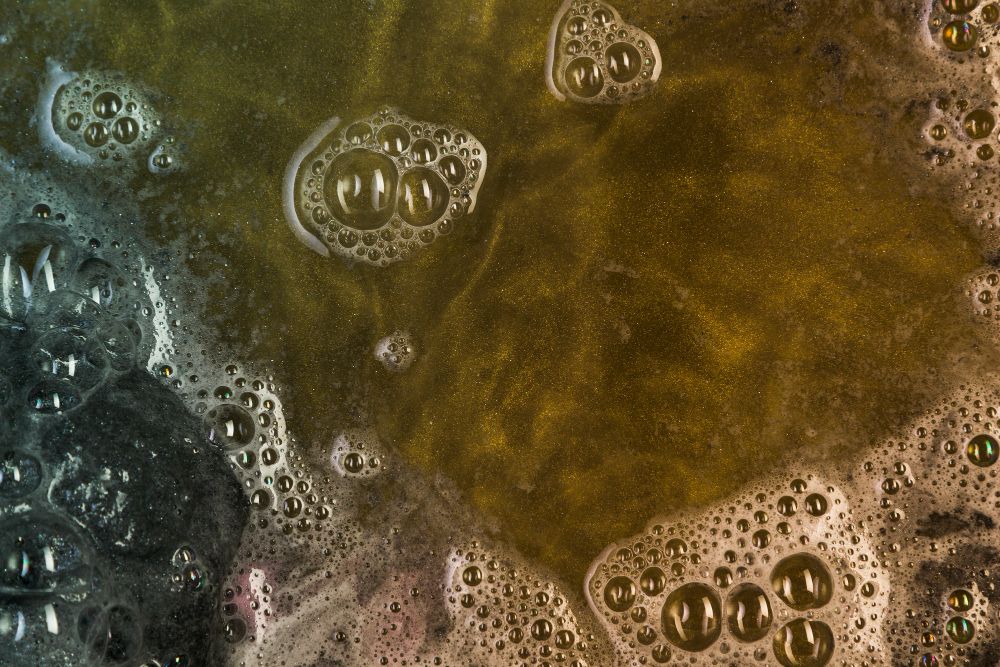 Rejets polluants qui aggraveront la pollution de l’estuaire, menaçant les coquillages, les poissons et les oiseaux