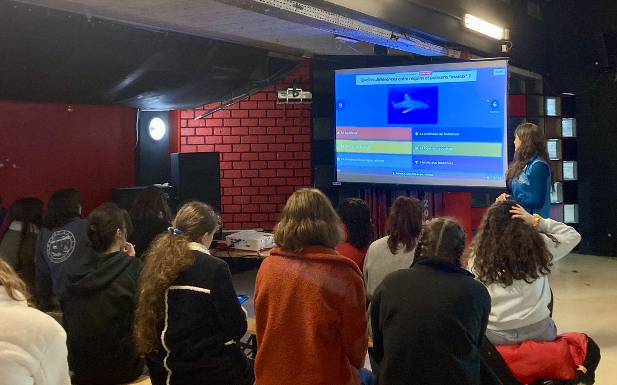 Photo de la conférence d’Olivia Auger à l’Ecole Nationale Vétérinaire d’Alfort Conférence sur les requins à l’Ecole Vétérinaire d’Alfort, avec Olivia Auger et un public attentif.