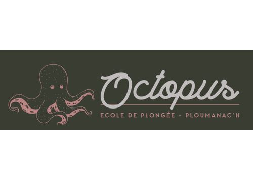 Octopus Plongée
