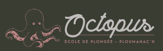 Octopus Plongée