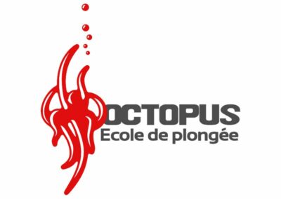 Octopus Soignies