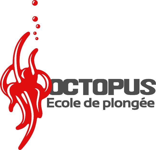 Octopus Soignies