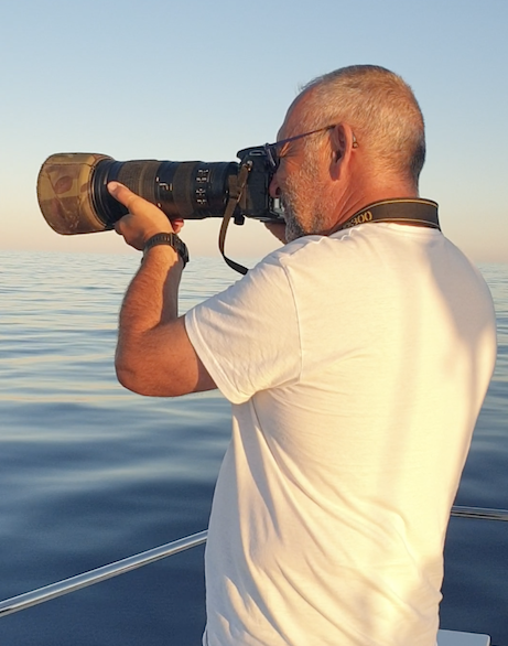 Photo-identification- cachalots-mediterranee