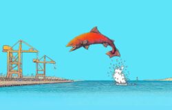 Pure Salmon enquête publique ou déni de démocratie