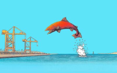 Usine à saumons : les Droits de l’Océan et de la Biodiversité bafoués !