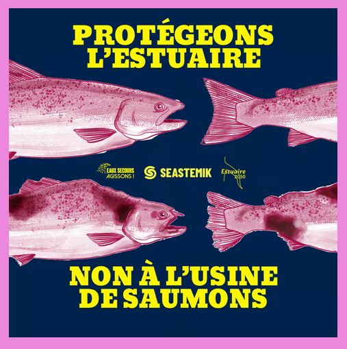 SEASTEMIK Le 29 novembre 2025, mobilisation contre l’usine à saumons de l’estuaire de la Gironde – RAFU