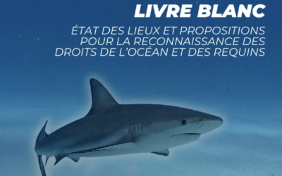 Le droit et les requins : le livre blanc vous dit tout  !