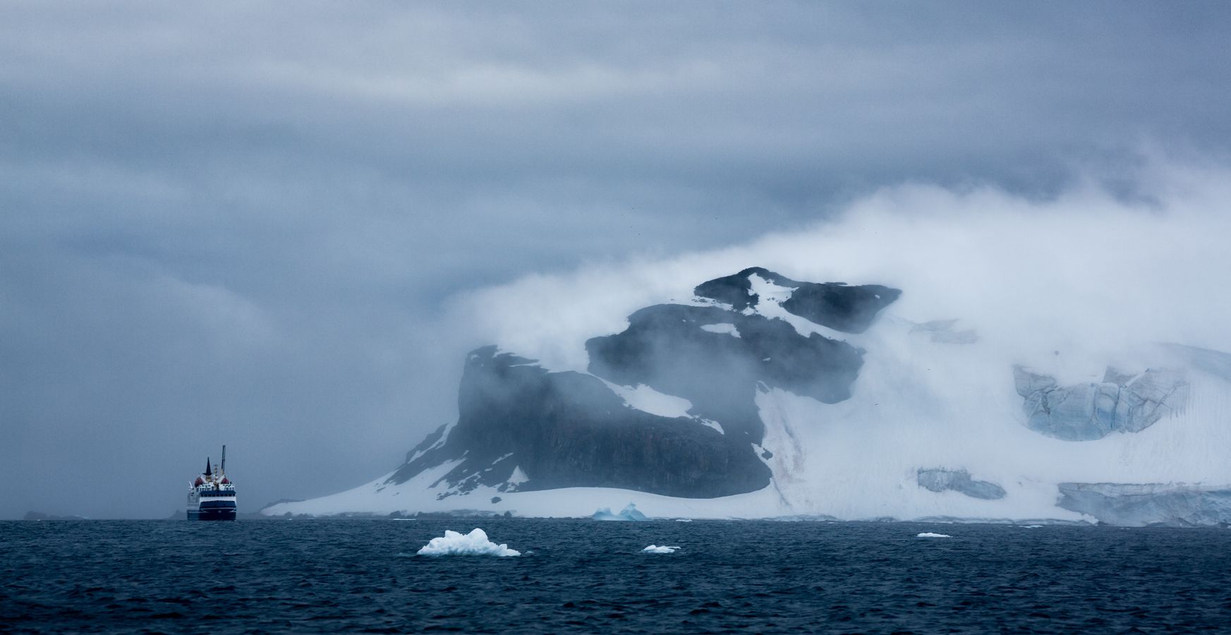 Lorsqu’on pêche le krill, on vampirise la nourriture de tous ces animaux qui n’ont aucune autre proie