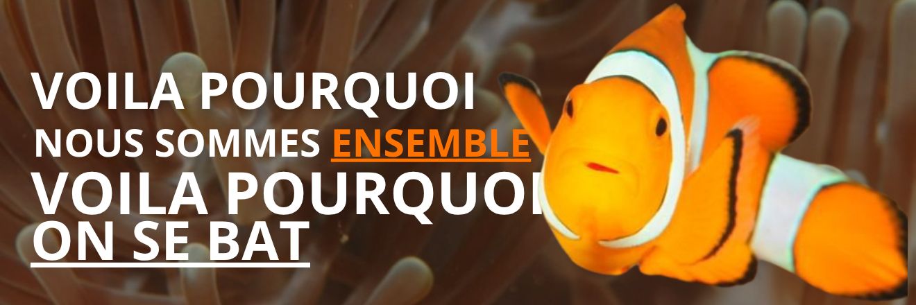 Voilà pourquoi nous sommes ensemble, voilà pourquoi on se bat Voilà pourquoi nous sommes ensemble, voilà pourquoi on se bat
