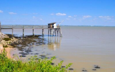 Longitude 181 défend l’estuaire de la Gironde