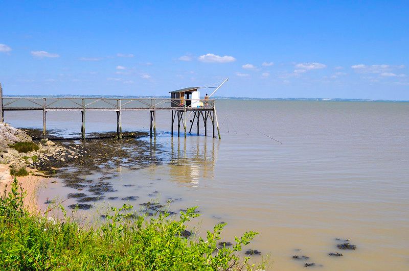 Longitude 181 défend l’estuaire de la Gironde © Bernard Blanc