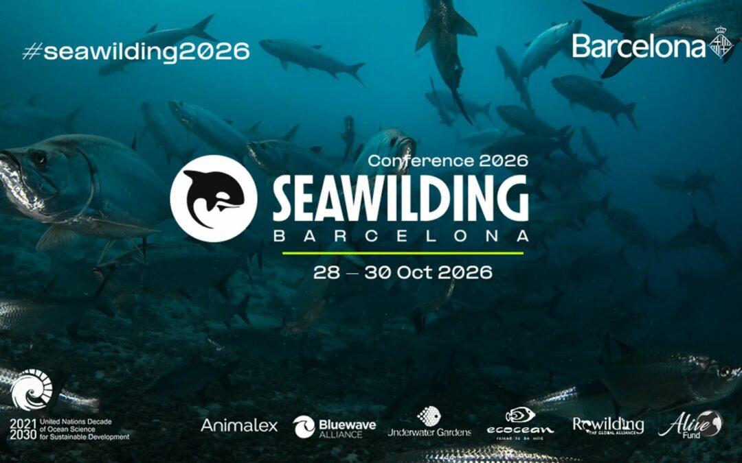 Droits de l’Océan : de la Conférence Seawilding à la consultation mondiale
