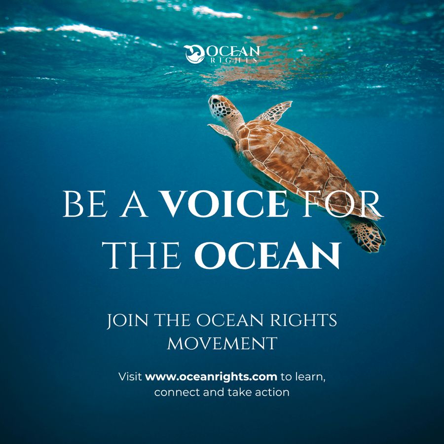 Affiche du collectif Ocean Rights avec le slogan « Be a voice for the ocean » Affiche du collectif Ocean Rights avec le slogan « Be a voice for the ocean »