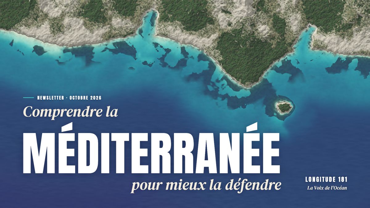 Comprendre la Méditerranée pour mieux la défendre - Longitude 181 Comprendre la Méditerranée pour mieux la défendre - Longitude 181