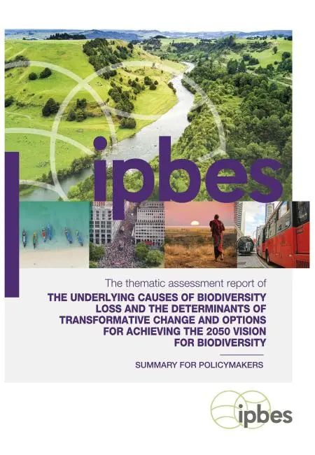 Logo de l’IPBES, Plateforme intergouvernementale sur la biodiversité et les services écosystémiques Logo de l’IPBES, Plateforme intergouvernementale sur la biodiversité et les services écosystémiques